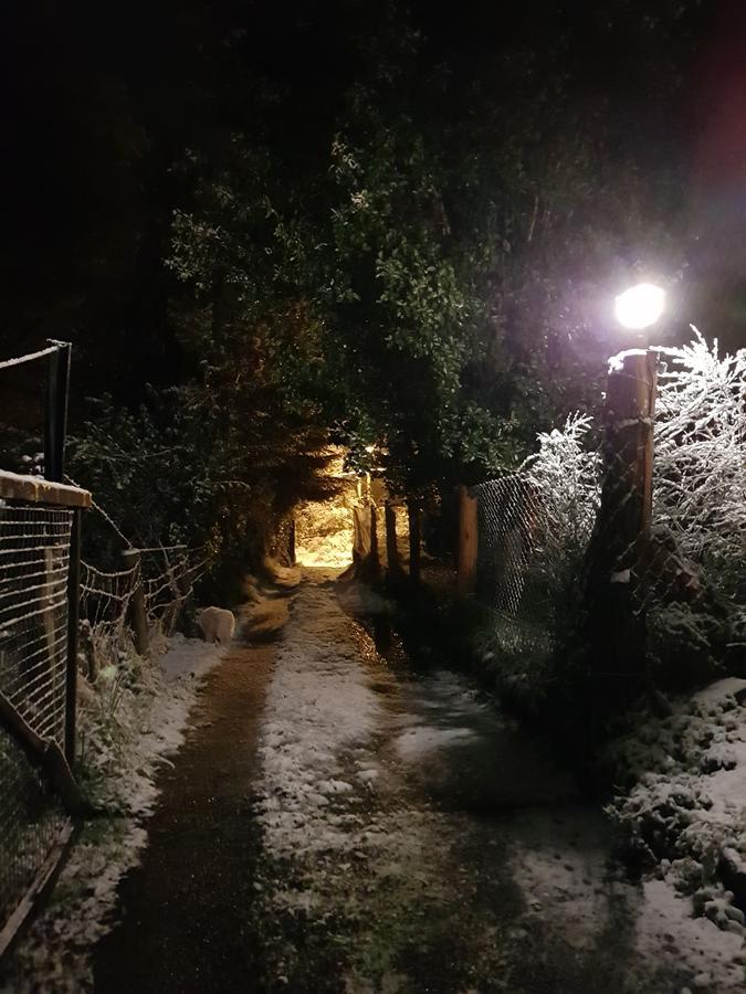 Magda Villa Villa La Angostura Bagian luar foto