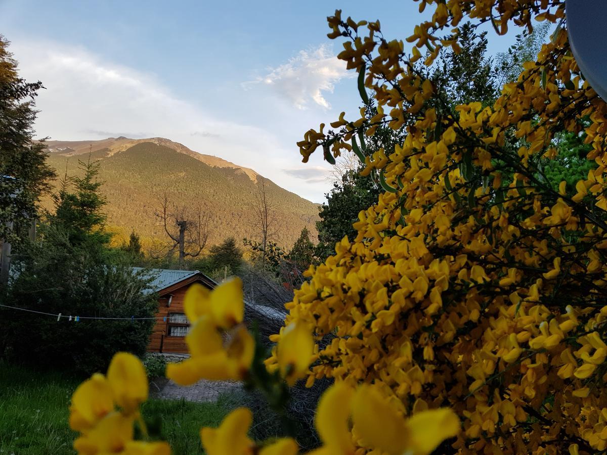 Magda Villa Villa La Angostura Bagian luar foto